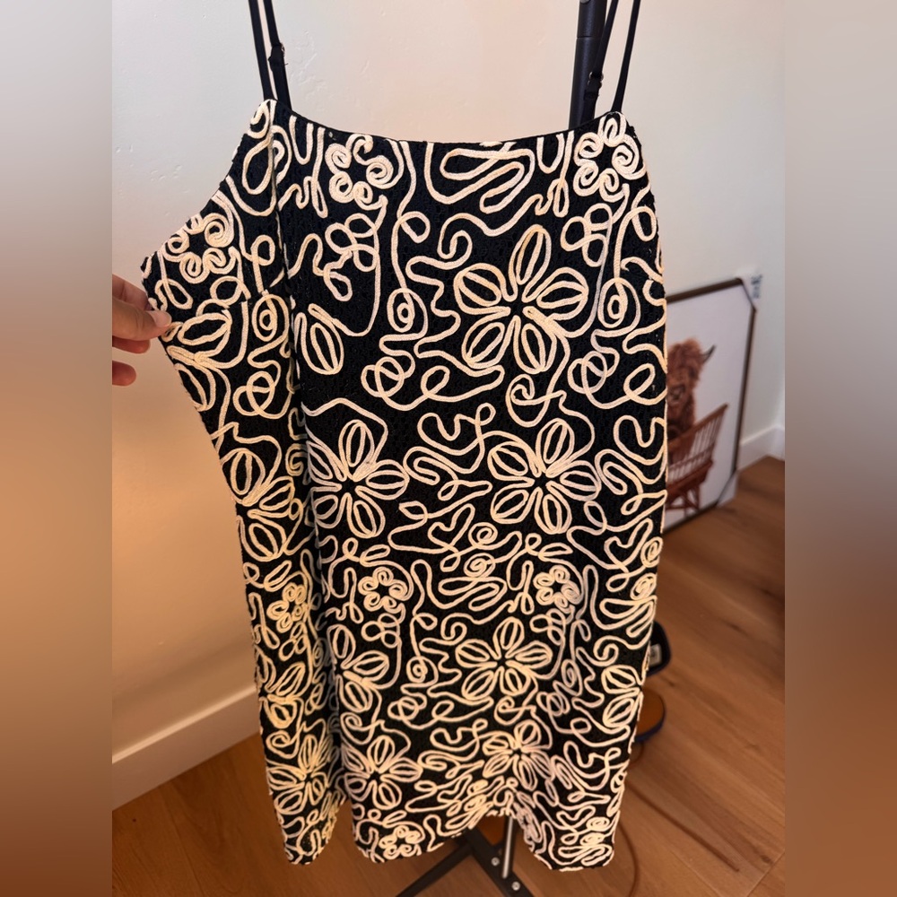 Vici Black and Cream Floral Loop-Embroidered Mini Dress